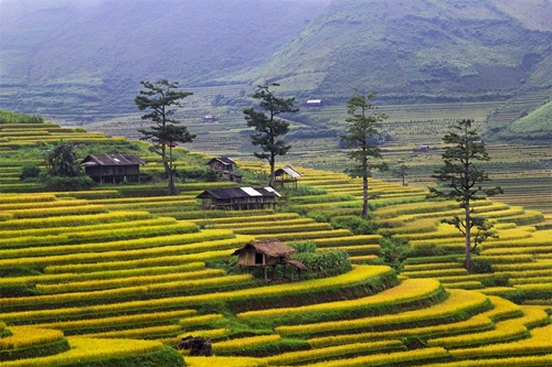 Mù Căng Chải